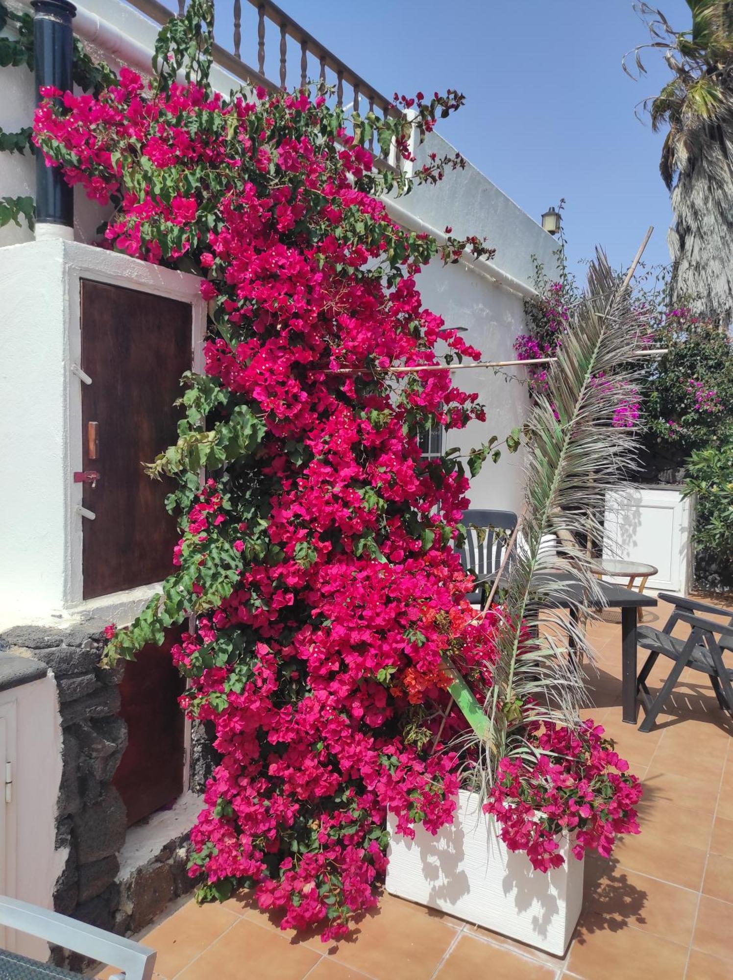 Casa Eden